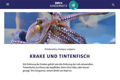 Screenshot: https://www.kindernetz.de/wissen/tierlexikon/tiere-von-a-z-100.html