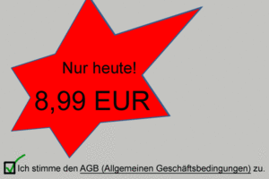 Allgemeine Geschäftsbestimmungen angekreuzt; Bild: Internet-ABC