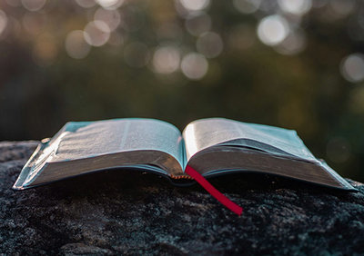 Ein aufgeschlagendes Buch liegt auf einem Stein; Bild: Aaron Burden auf Unsplash