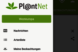 Szene aus der App; Bild: Pl@ntNet Project 